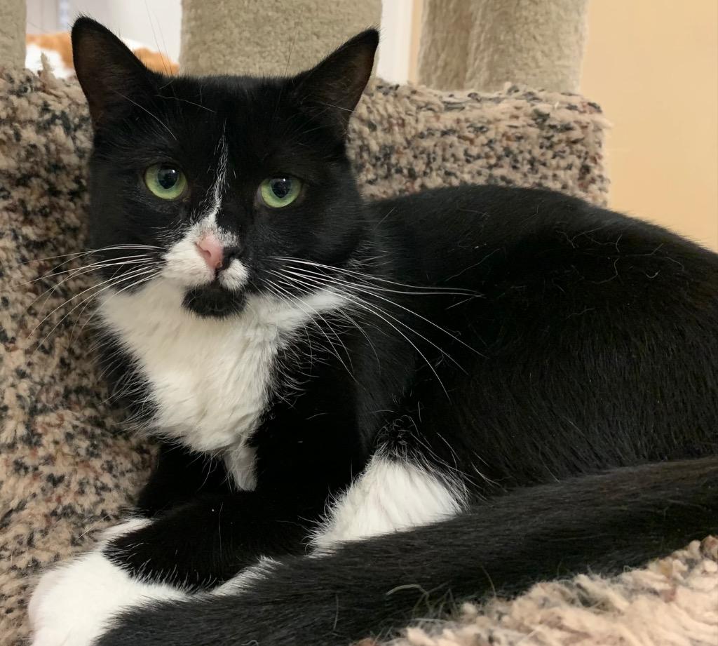 Princess thumbnail 4