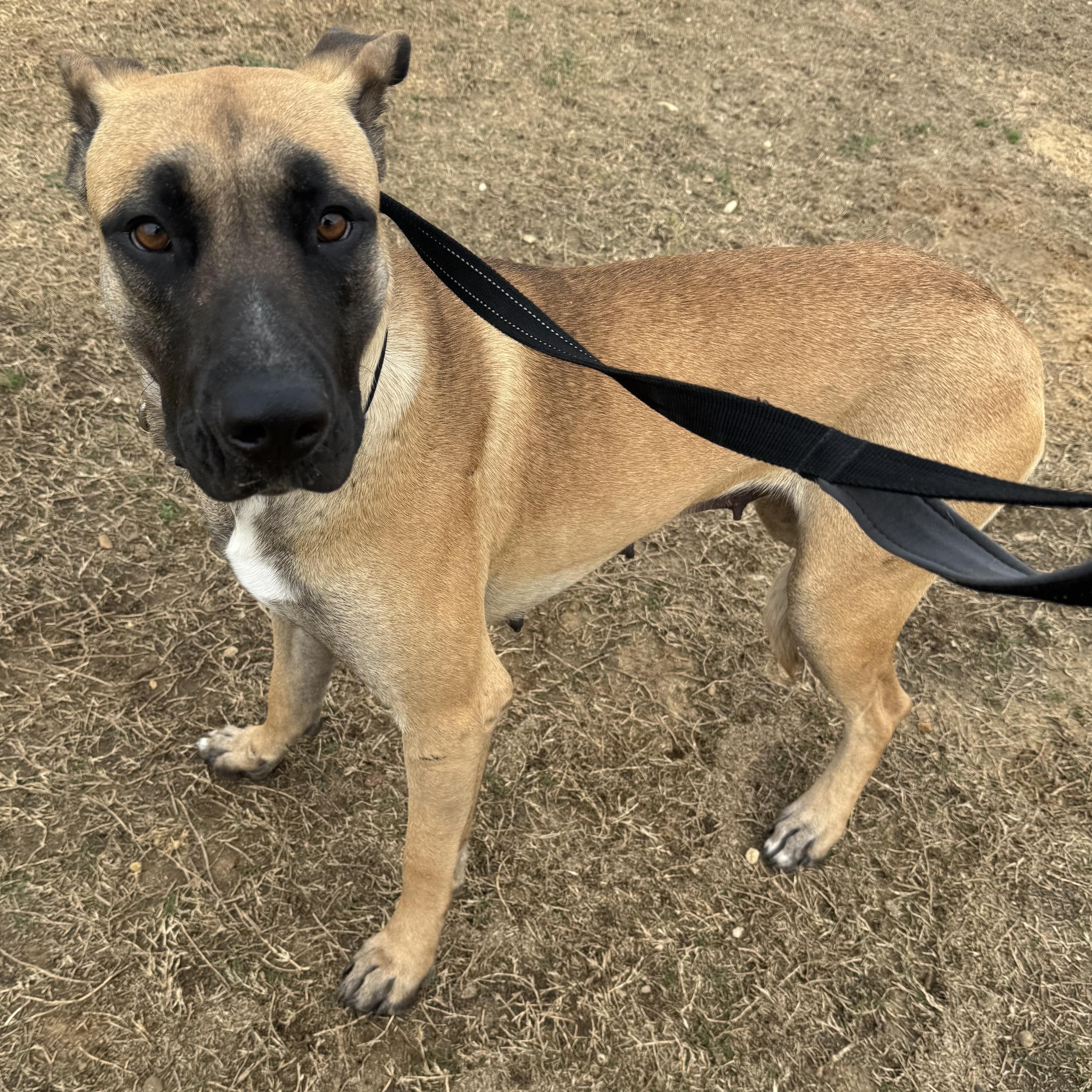 Katarina — thumbnail 6