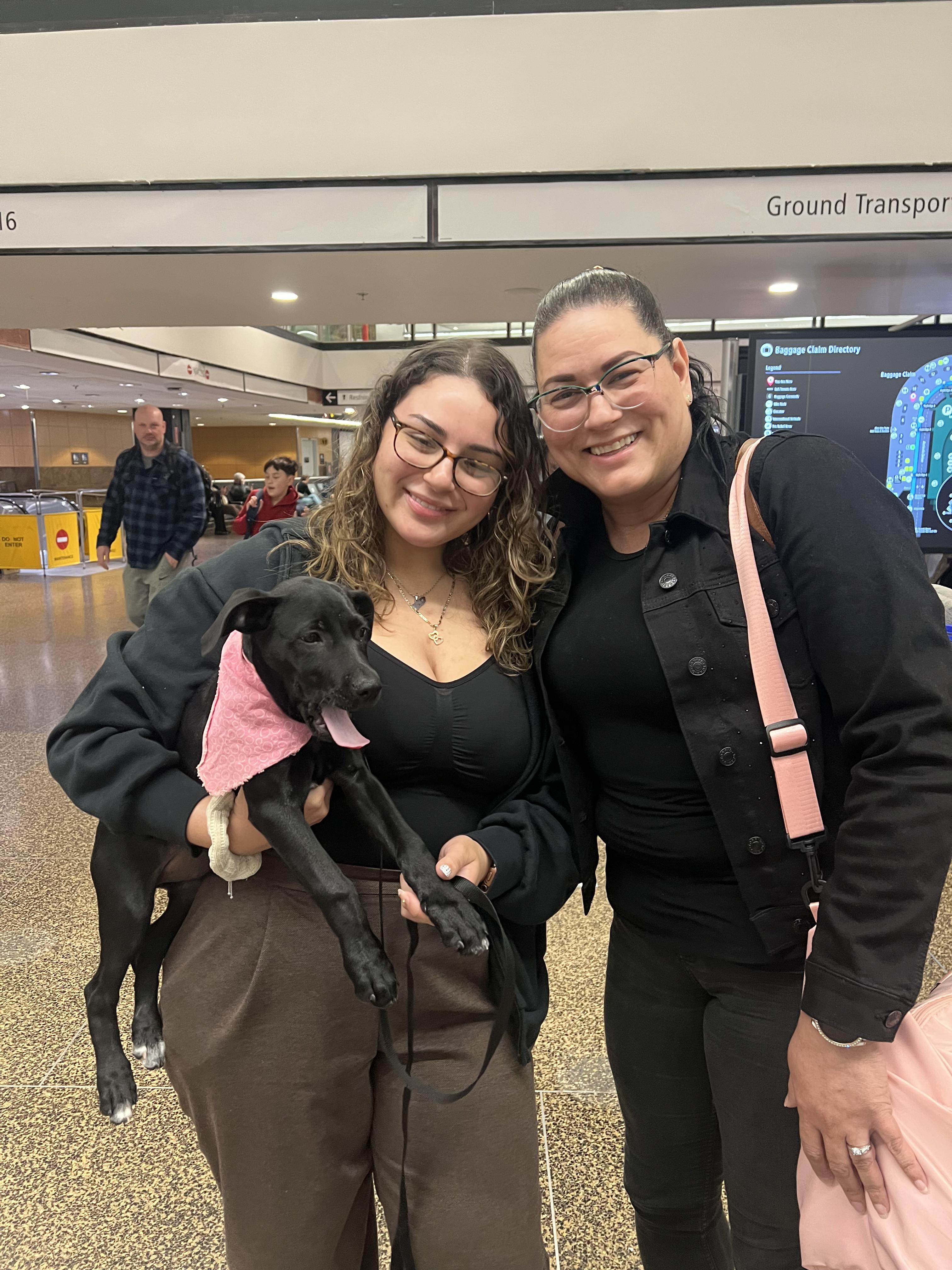 Enlarge Porky, a ADOPTABLE mixed breed in Seattle, WA image 5/6