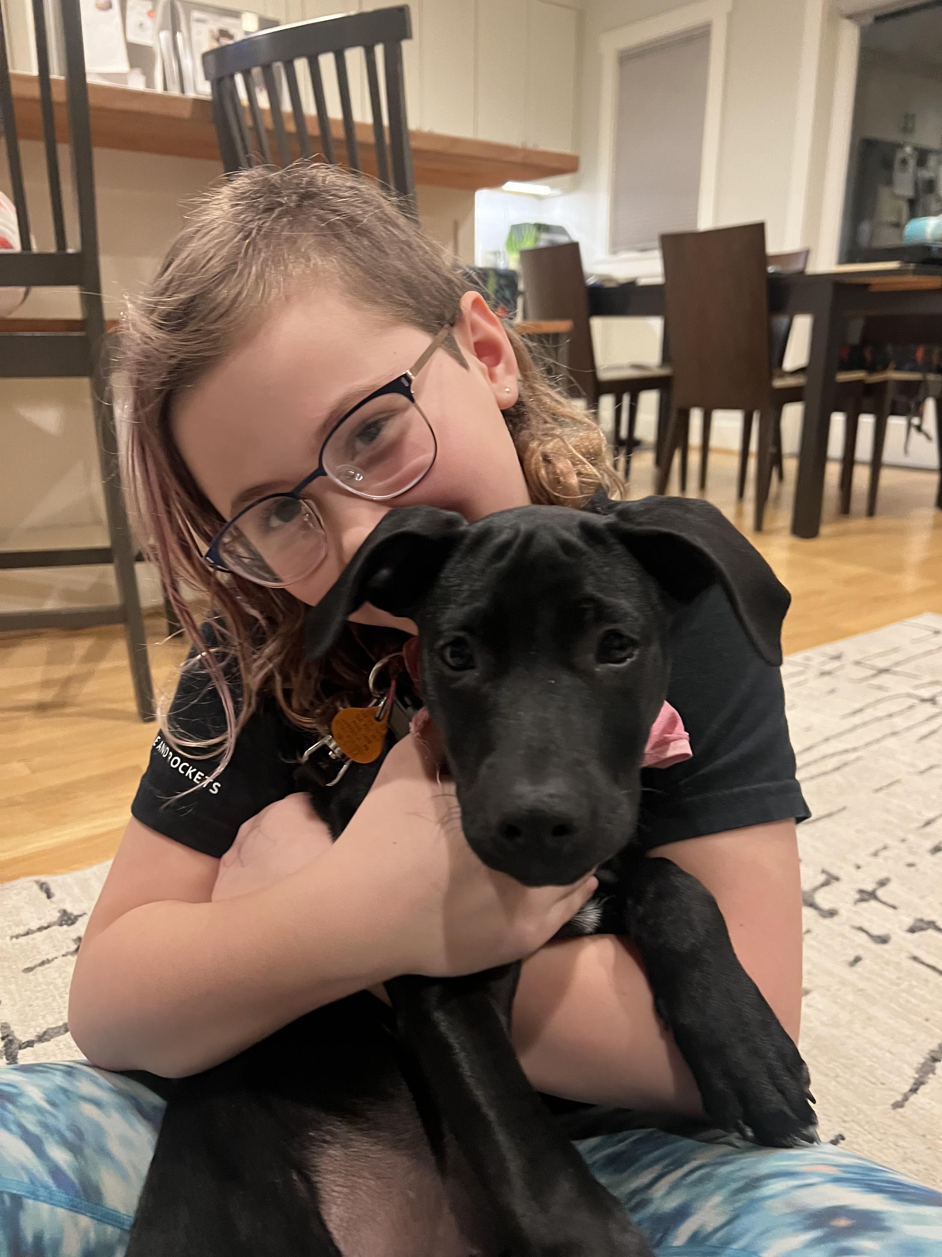 Enlarge Porky, a ADOPTABLE mixed breed in Seattle, WA image 4/6