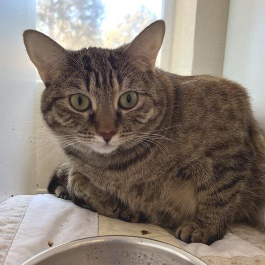 Merlot — thumbnail 2