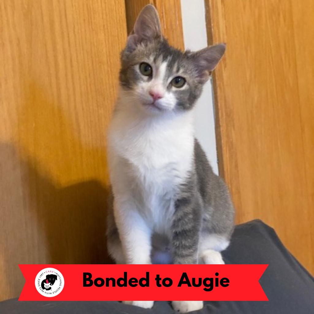 Ivy (k2026) — thumbnail 6