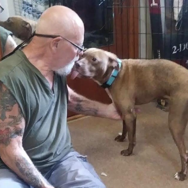 Enlarge Kooper, a Adopted mixed breed in Water Valley, MS image 3/5