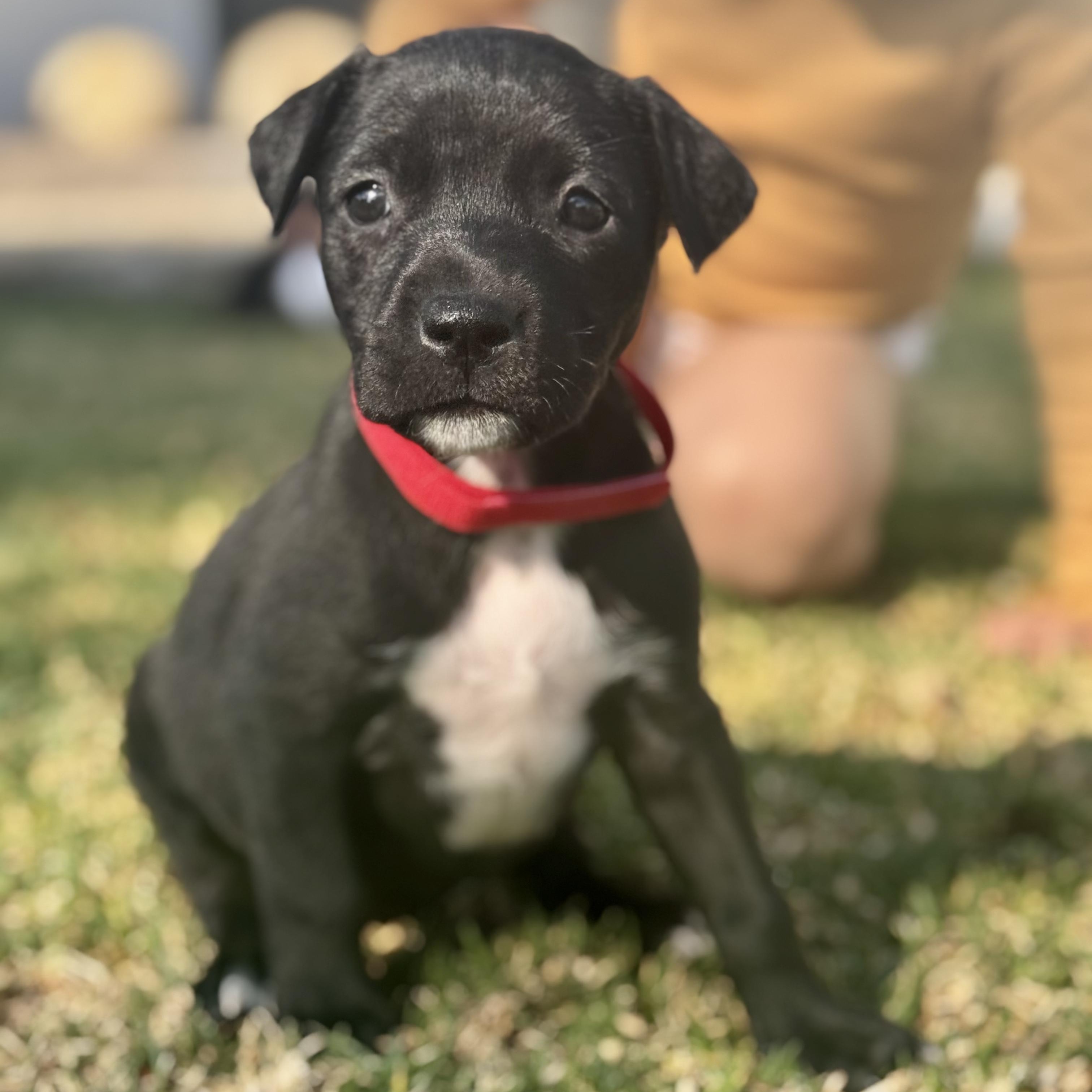 Ursula — thumbnail 6