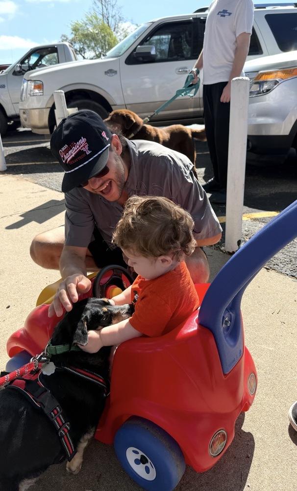 Enlarge Rascal, a Adopted mixed breed in Brookshire, TX image 5/6