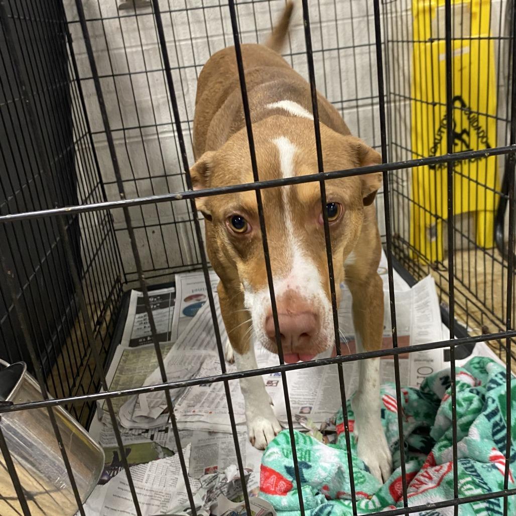 Thomas  T thumbnail 2