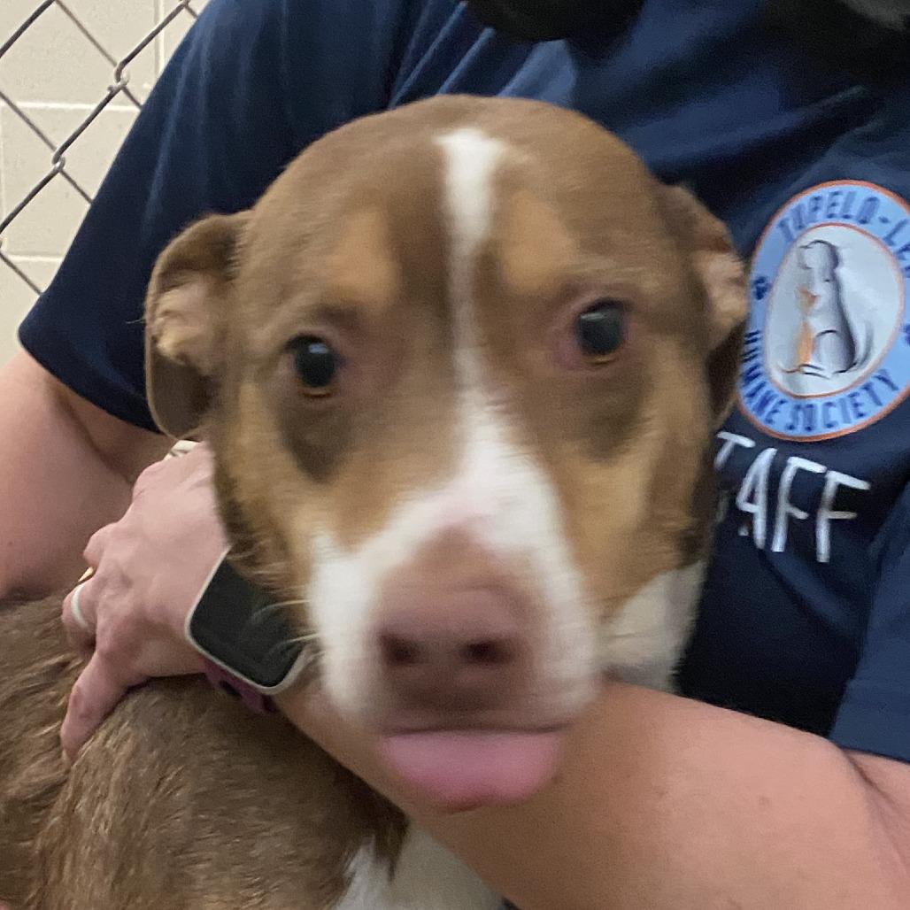 Thomas  T thumbnail 4