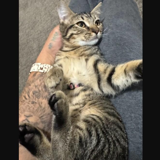 Briana Bell thumbnail 4