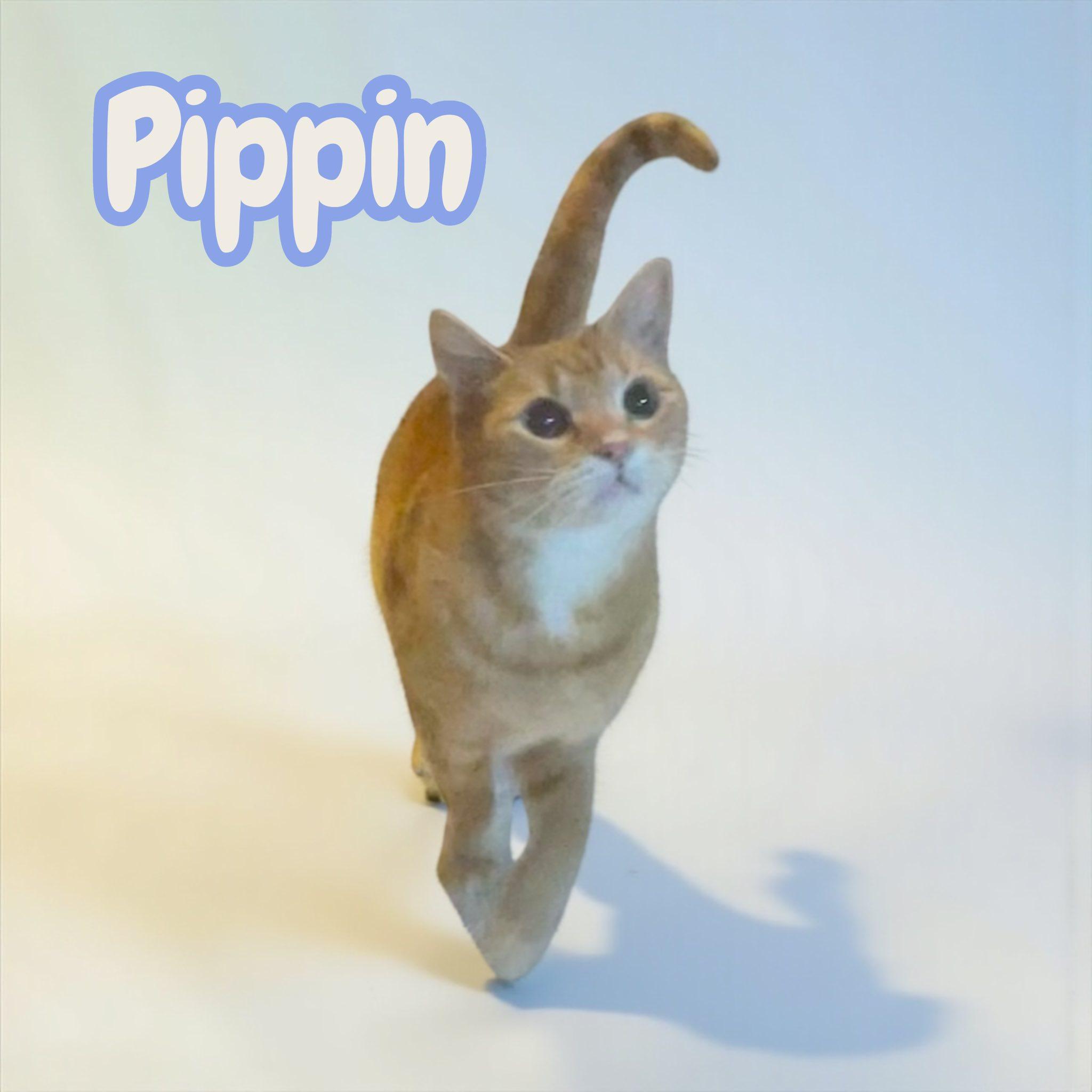 Pippin — thumbnail 3