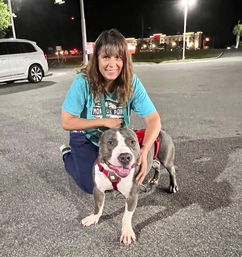 Bosco, a Adopted mixed breed in Pompton Plains, NJ image 4/6