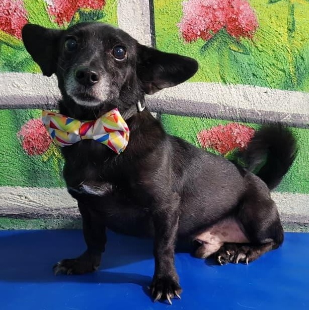 Mr. Cutie Pie Jonathan