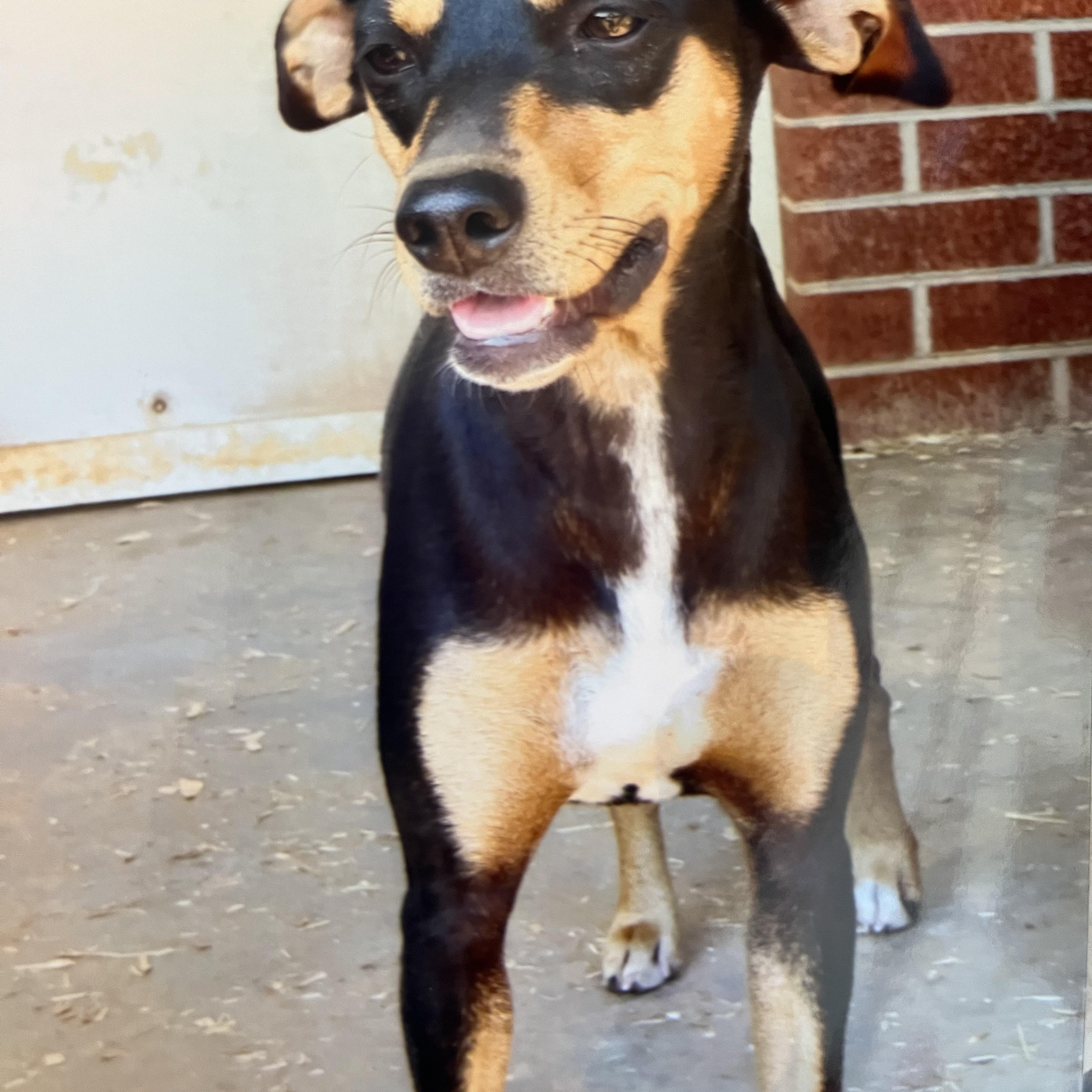 Baby (Community Assist)