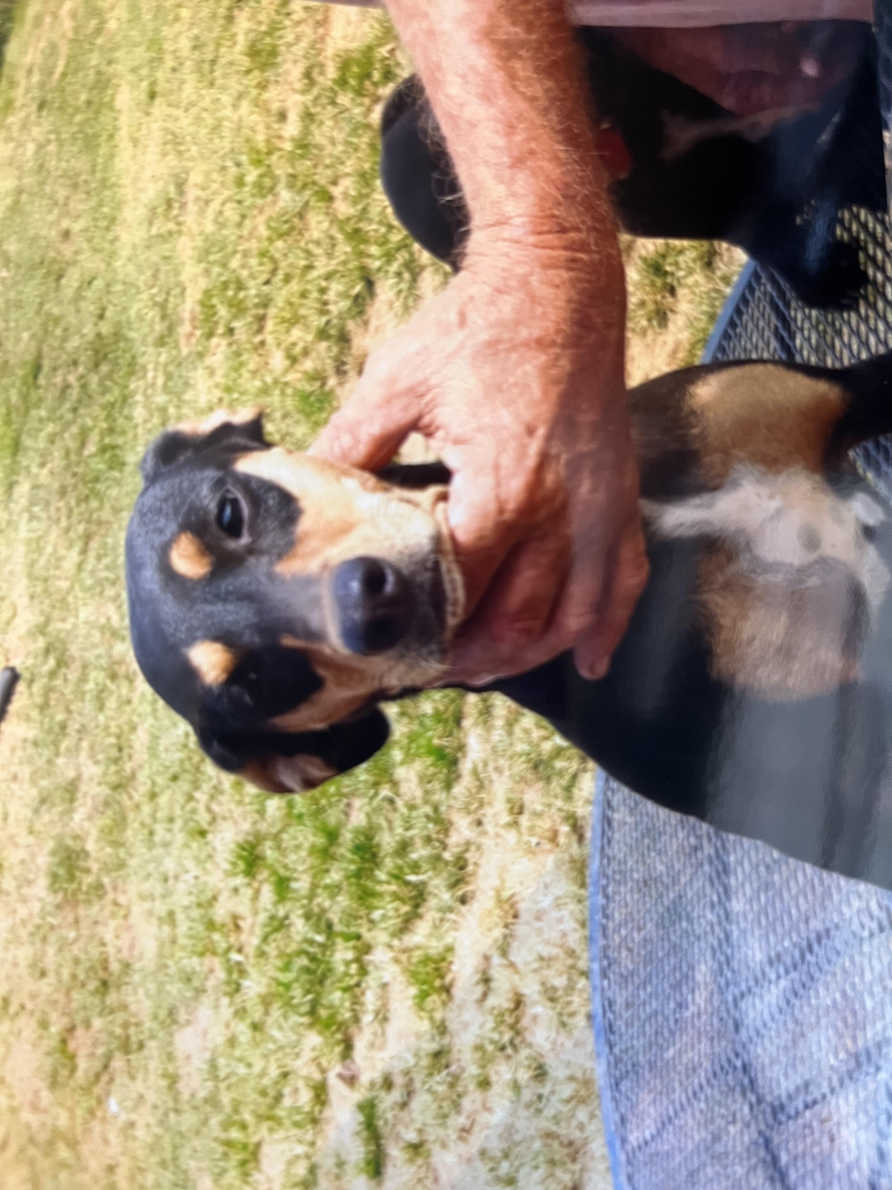 Baby (Community Assist)