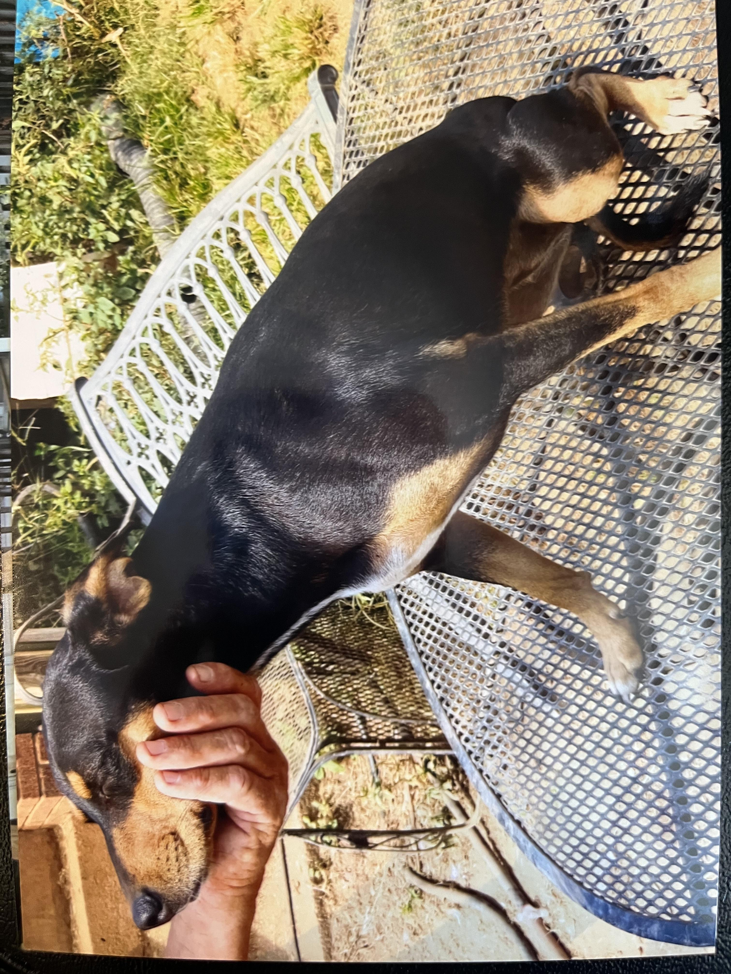 Baby (Community Assist)