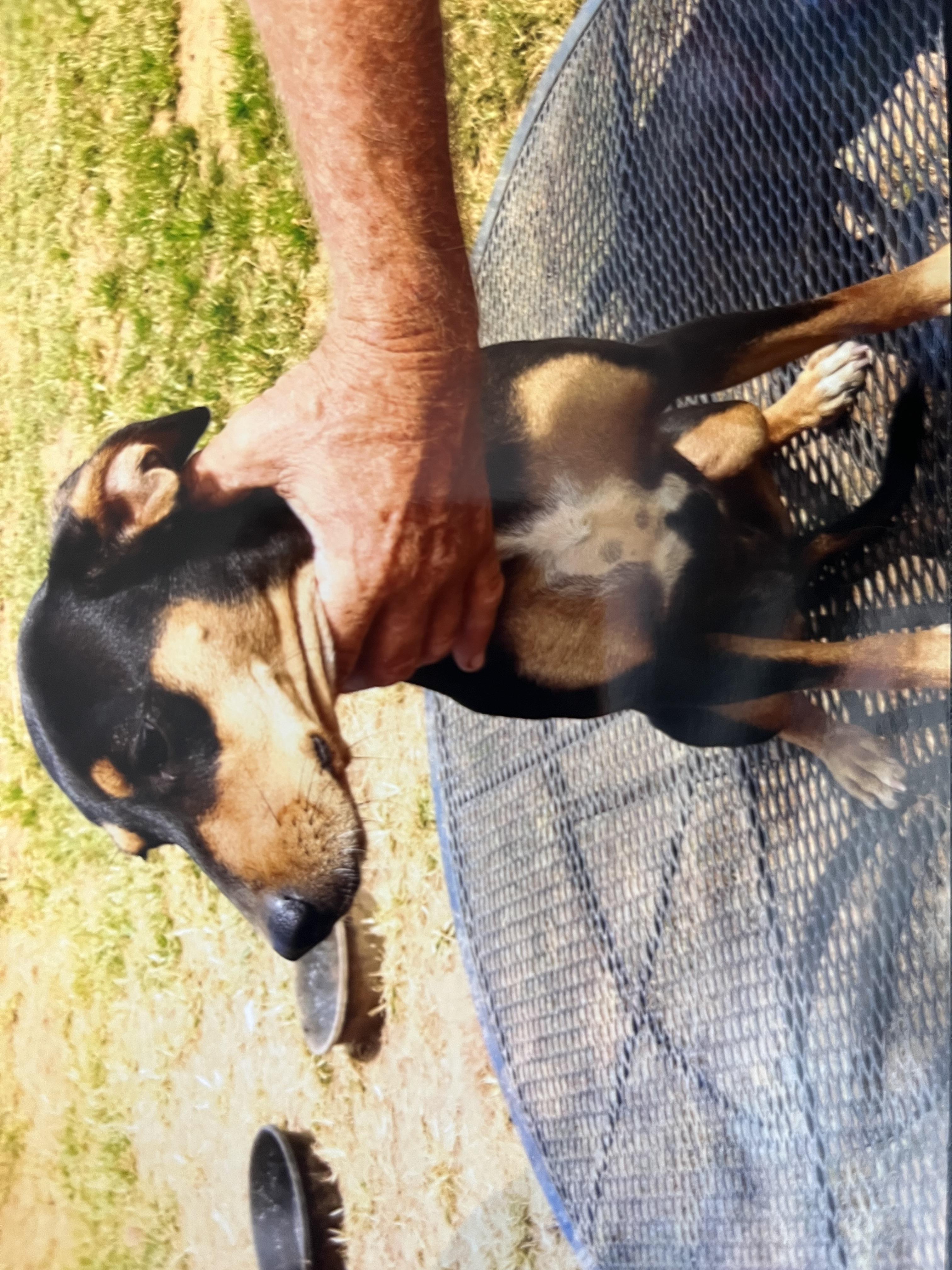 Baby (Community Assist)