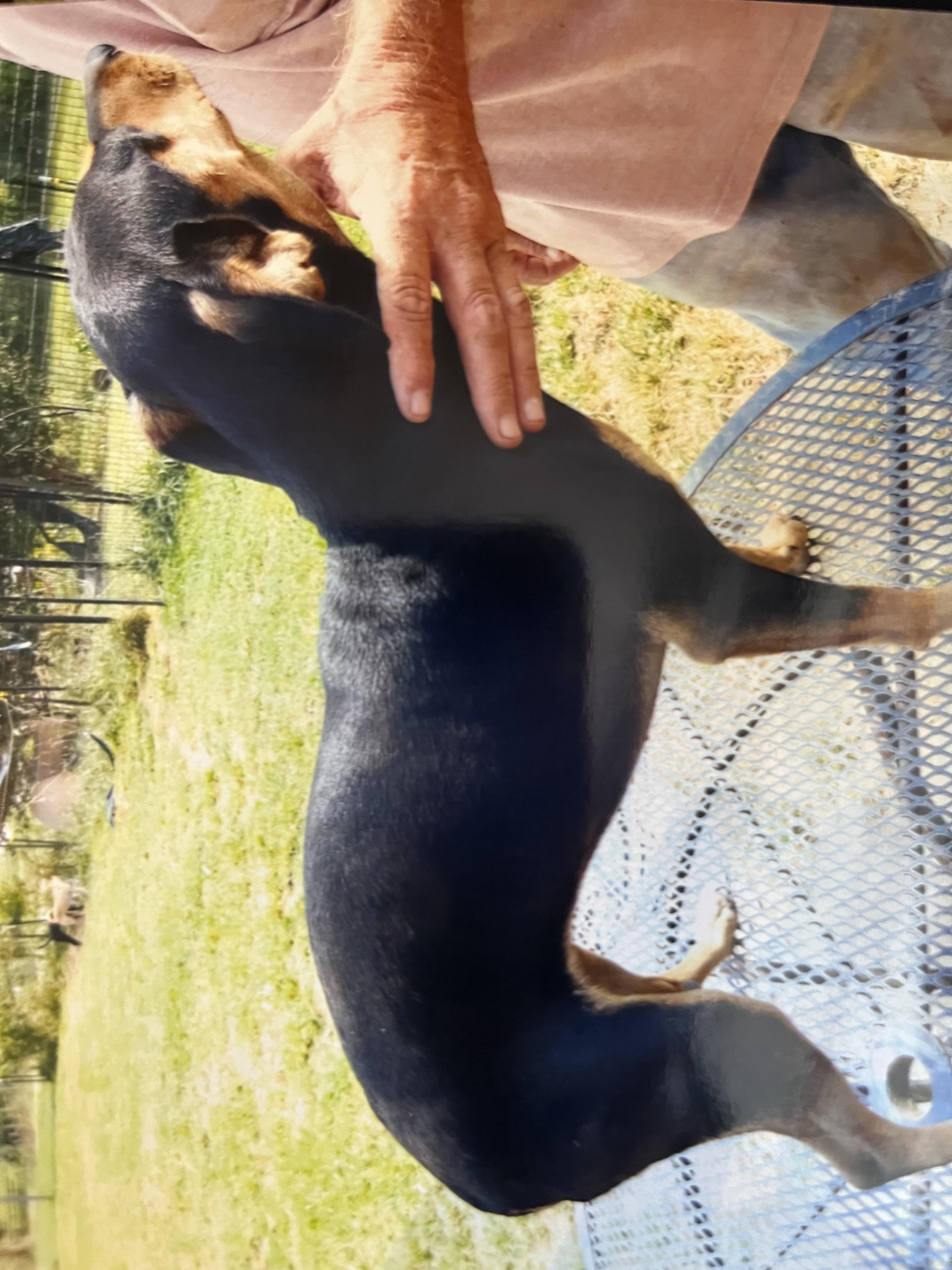 Baby (Community Assist)