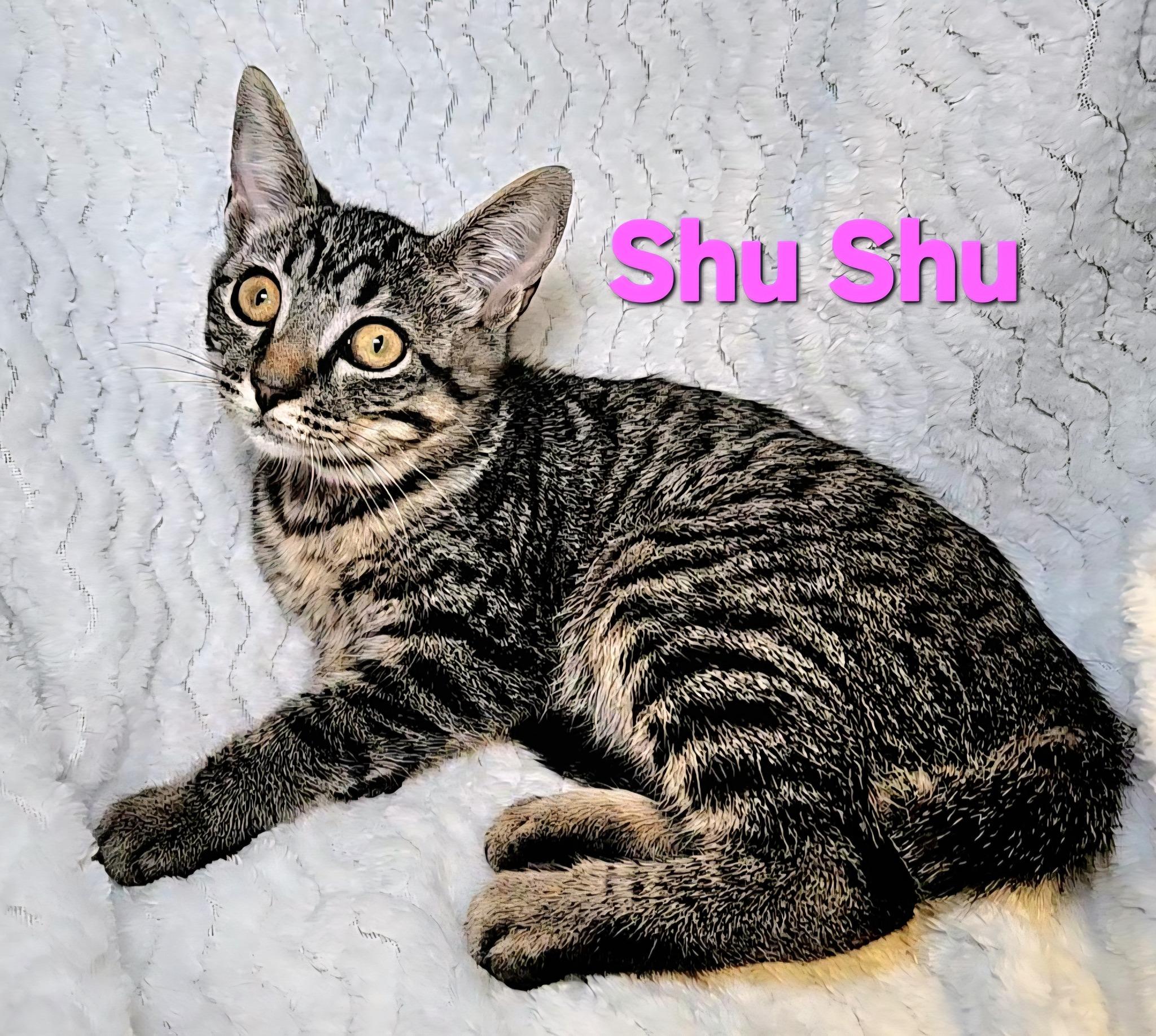 Shu-Shu