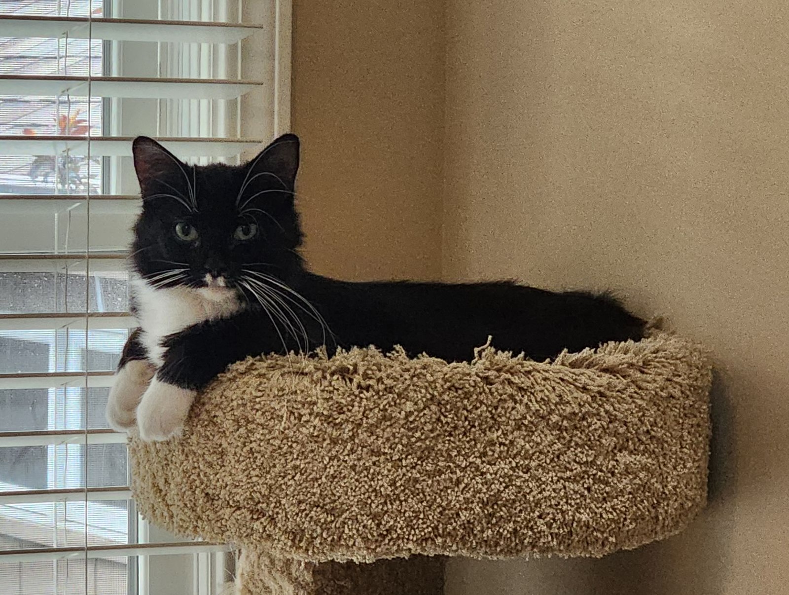Gwen