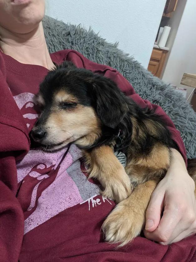 Opie — thumbnail 4