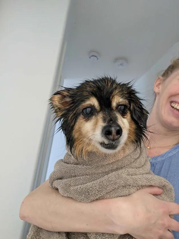 Opie — thumbnail 6