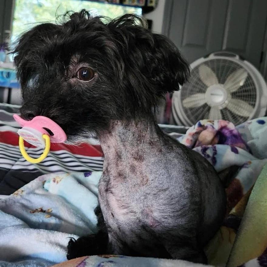 Ct Marley thumbnail 2