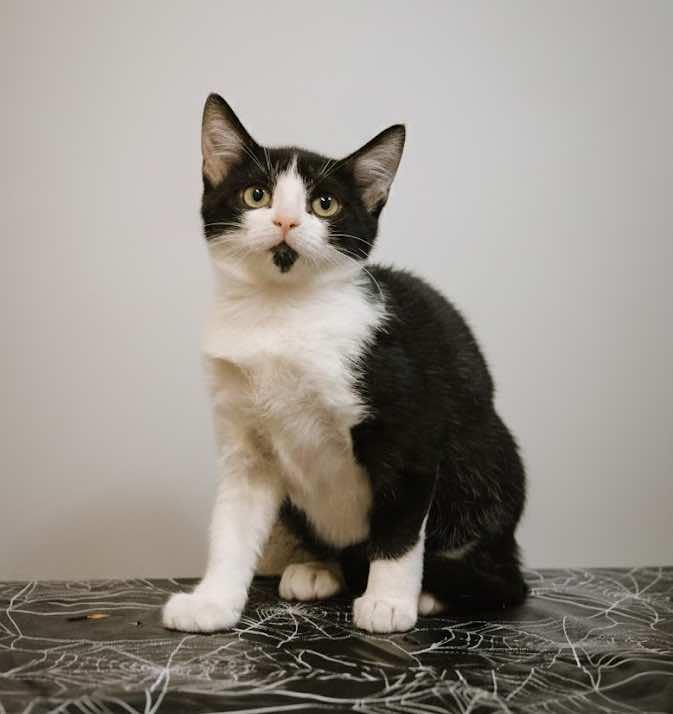 Georgia and Ginny (Sisters)