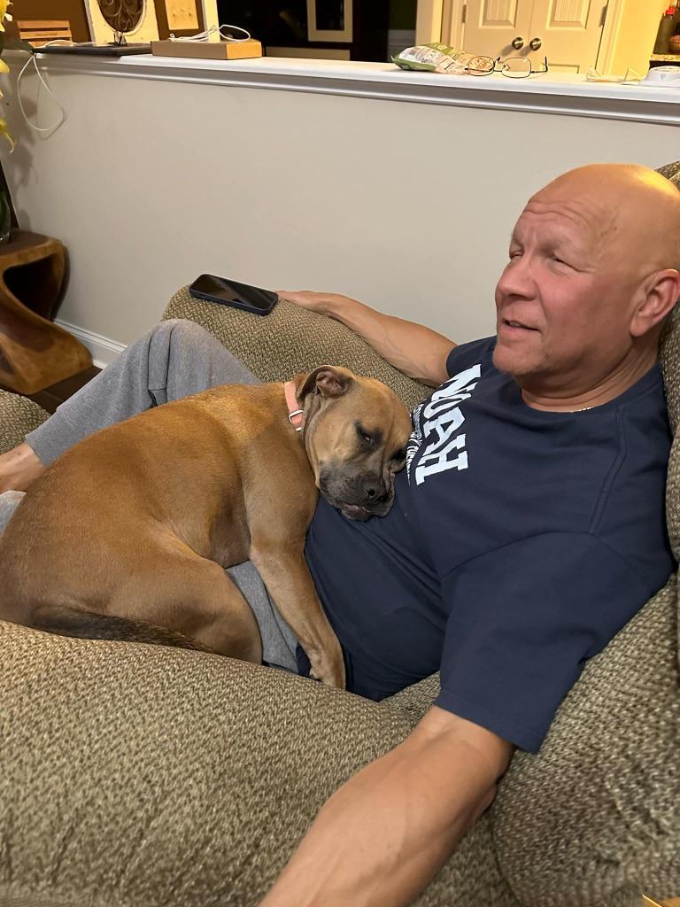 Scully, Adoptable, Adult Female Mixed Breed.