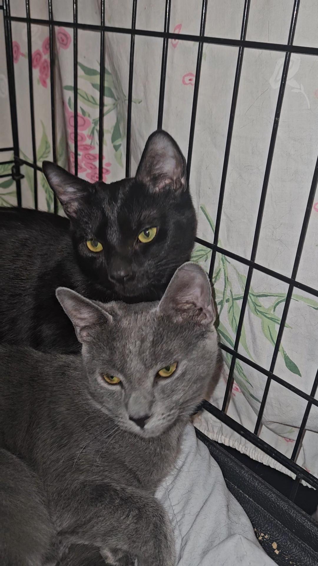 Wendy And Remy ~ photo 1
