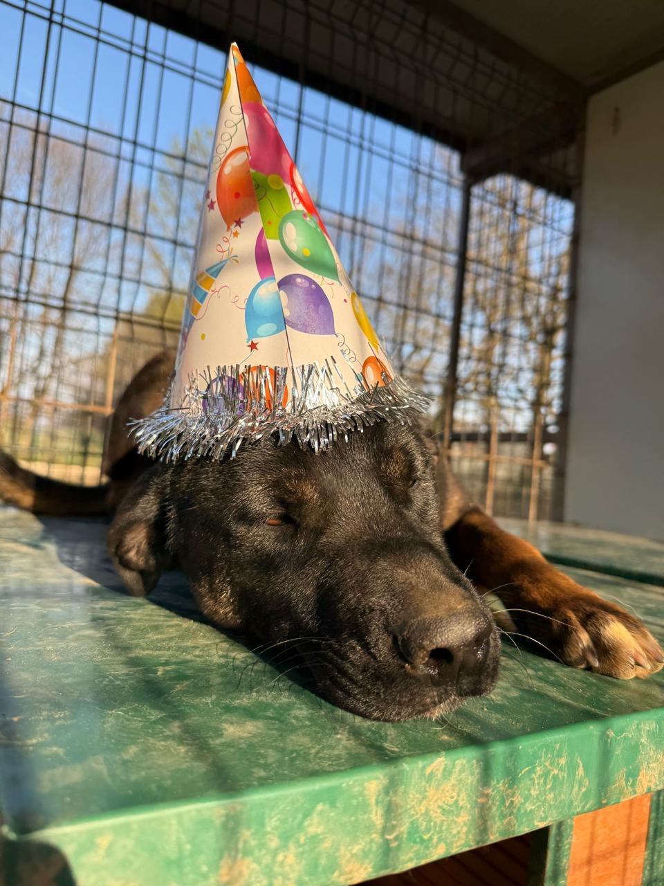 Alexa — thumbnail 5