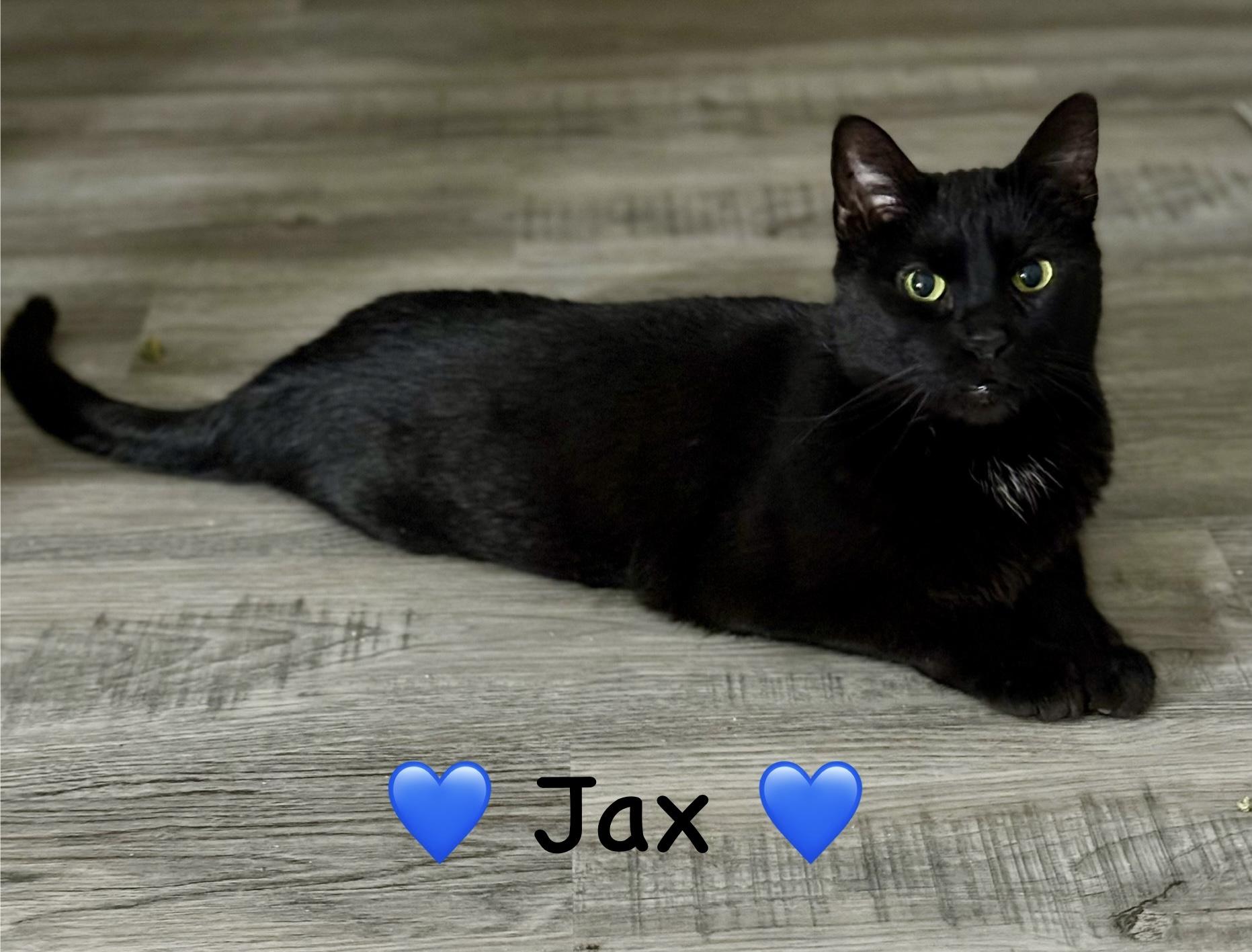 Jax photo 1