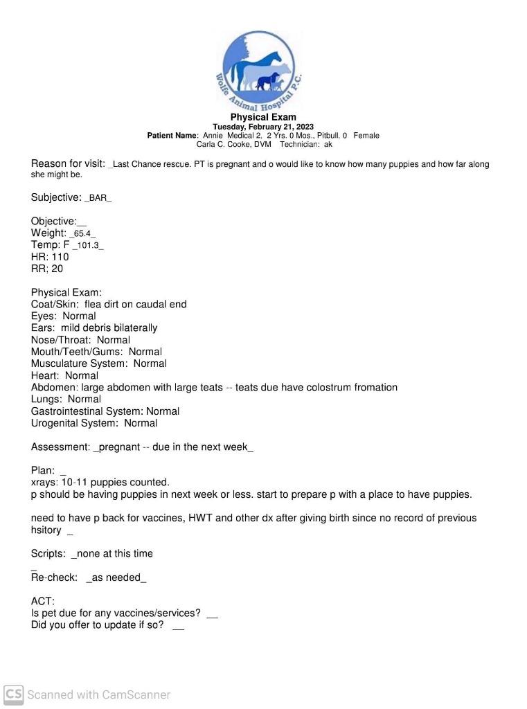 Enlarge Bonnie, a Adoptable Pit Bull Terrier in Waynesville, GA image 2/6