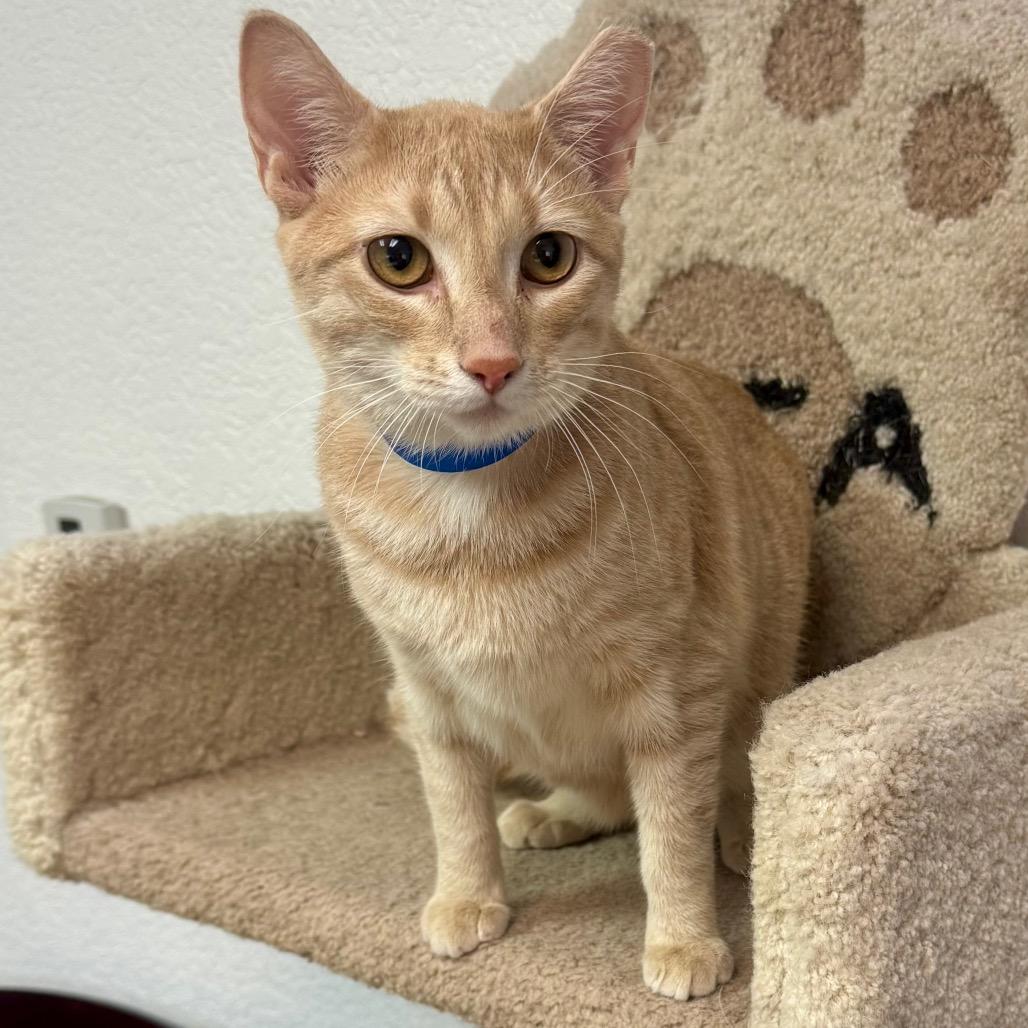 Stewey — thumbnail 2