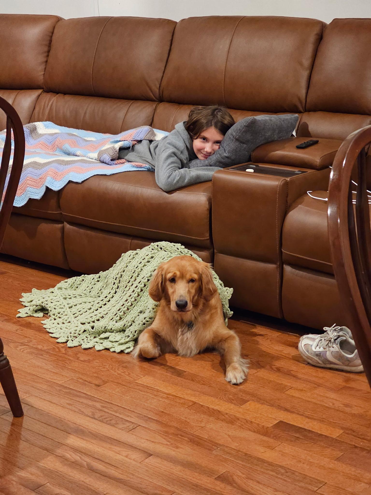 Enlarge Colton James, an adopted Golden Retriever in Elyria, OH image 2/4