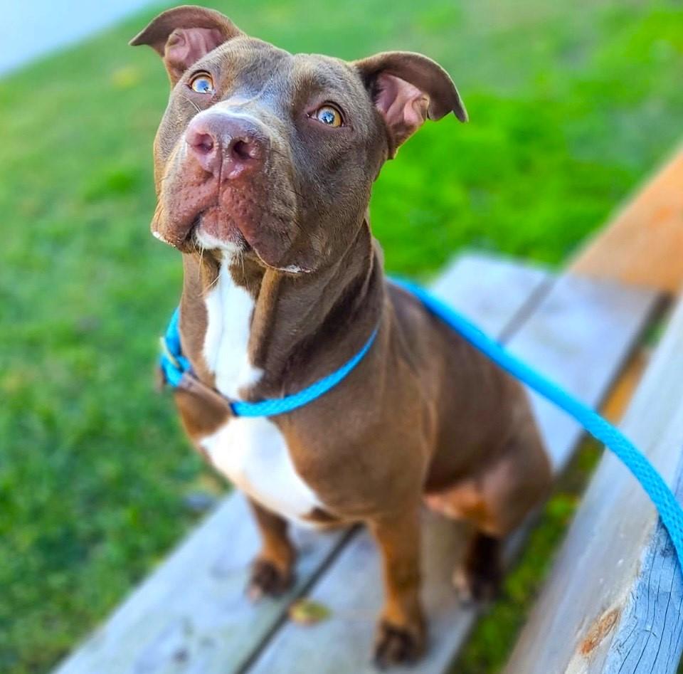 Moosie-She's So Much Fun