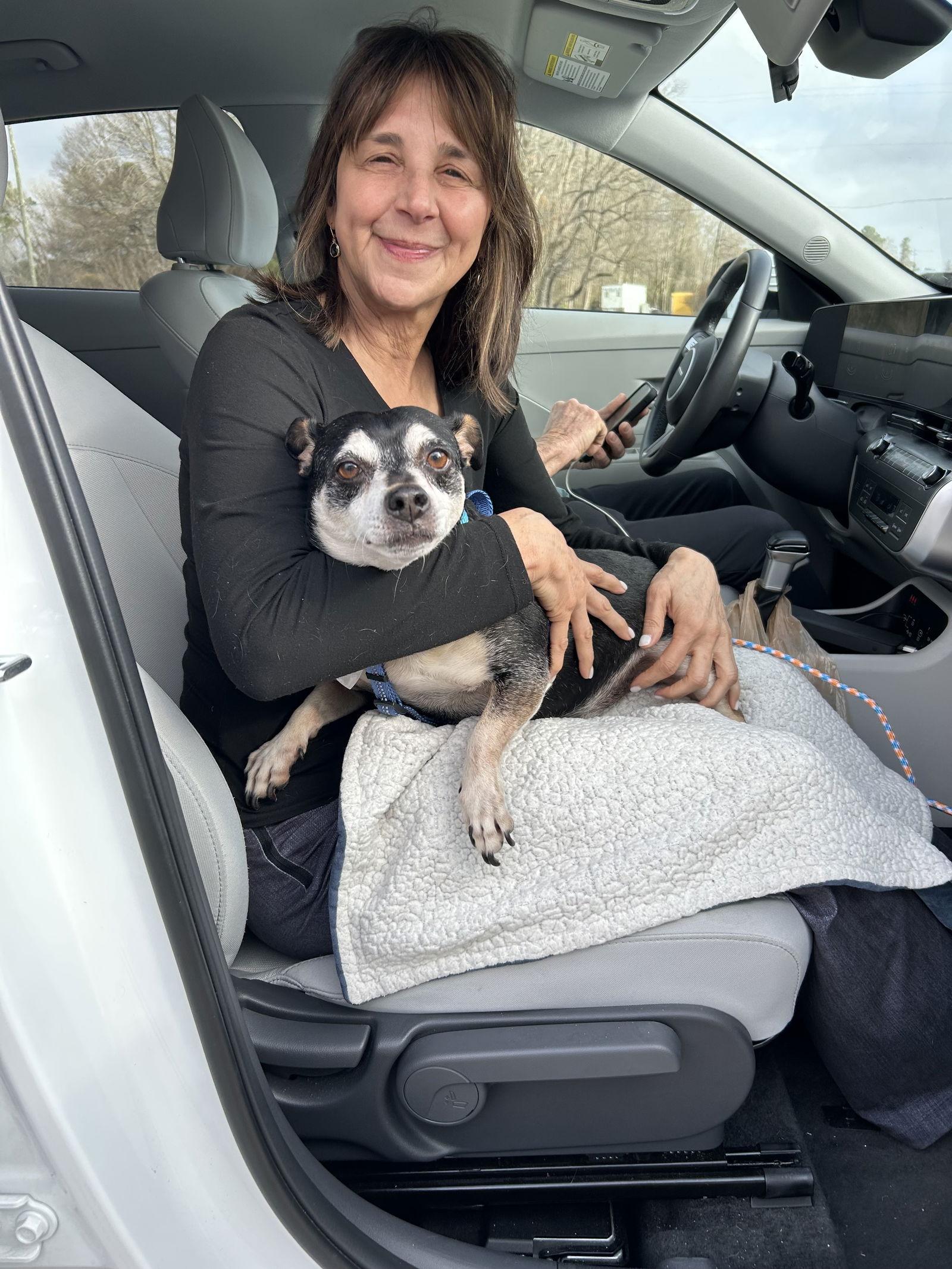 Oscar May 25 - In Foster in Rocky Mount, NC, Adopted, Adult Male Chihuahua & Rat Terrier.
