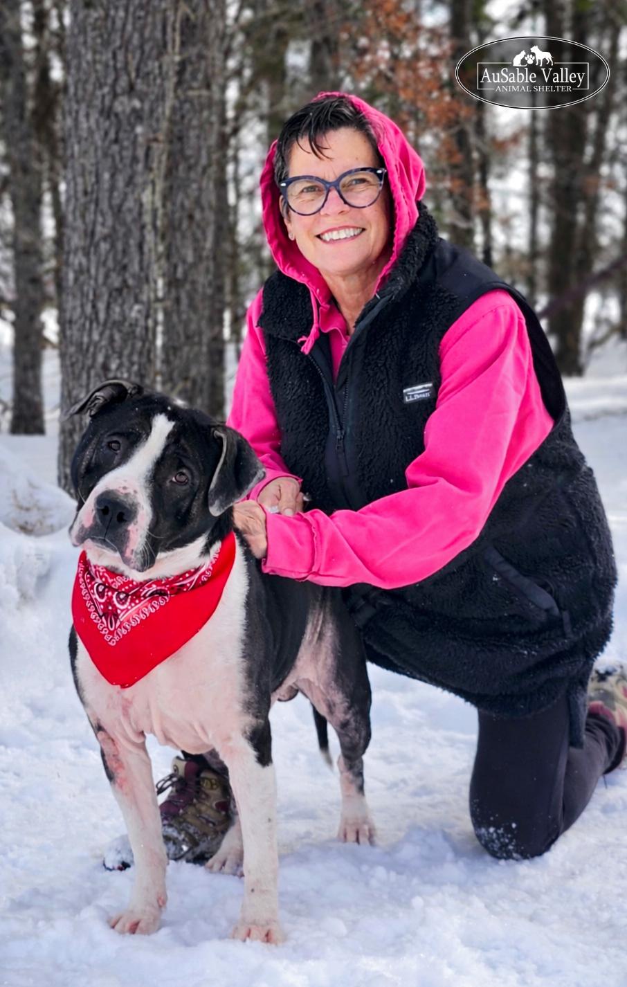 Enlarge Eeyore, a ADOPTABLE mixed breed in Grayling, MI image 3/6