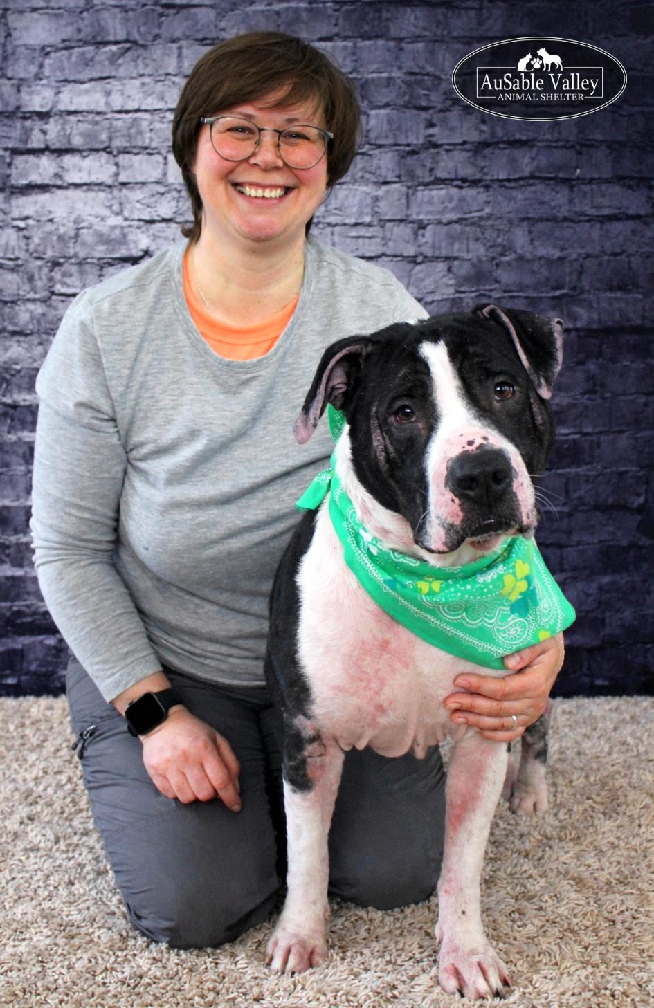 Enlarge Eeyore, a ADOPTABLE mixed breed in Grayling, MI image 2/6