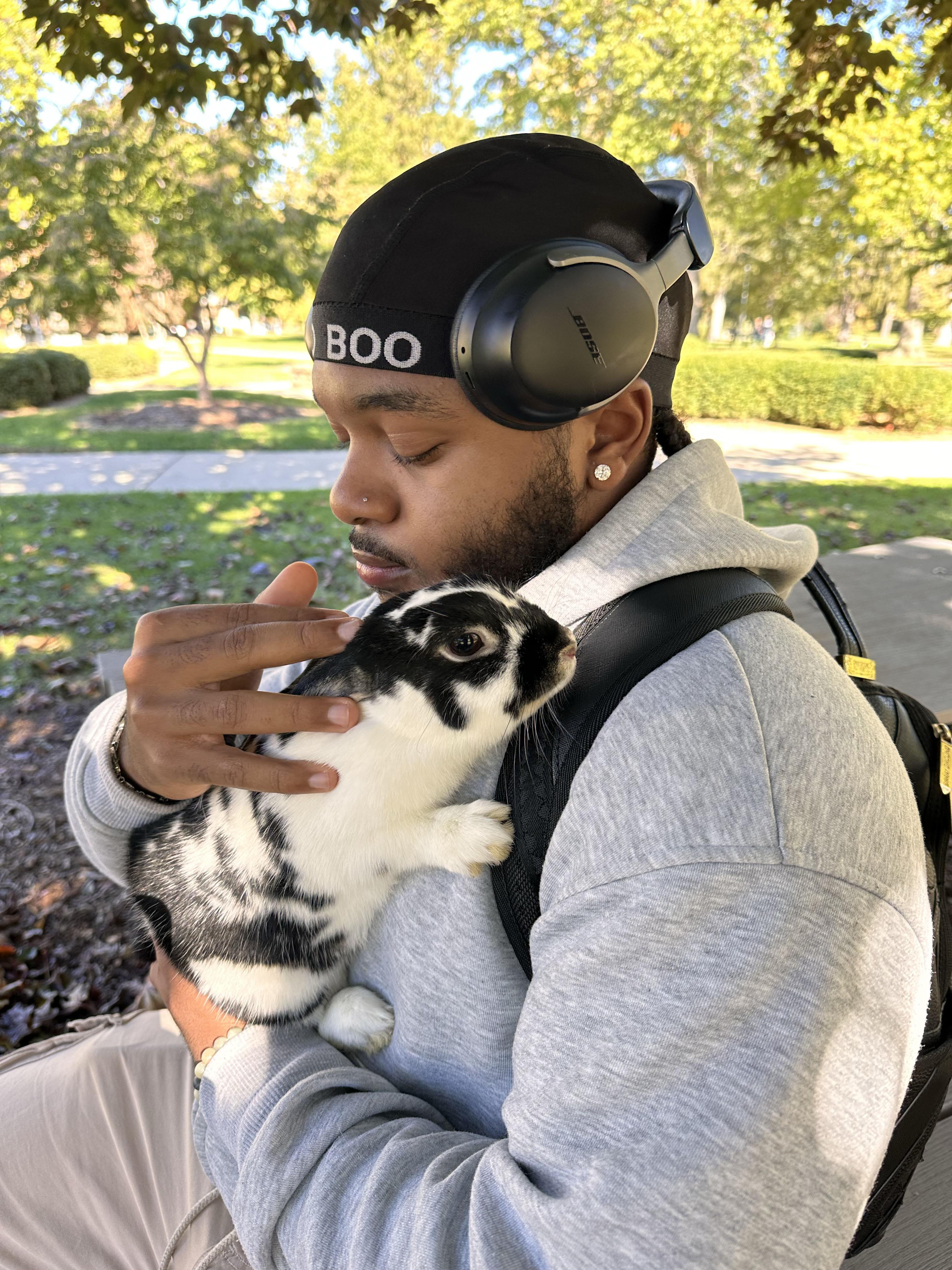 Enlarge Sugar and Plum, a Adoptable mixed breed in South Bend, IN image 2/6