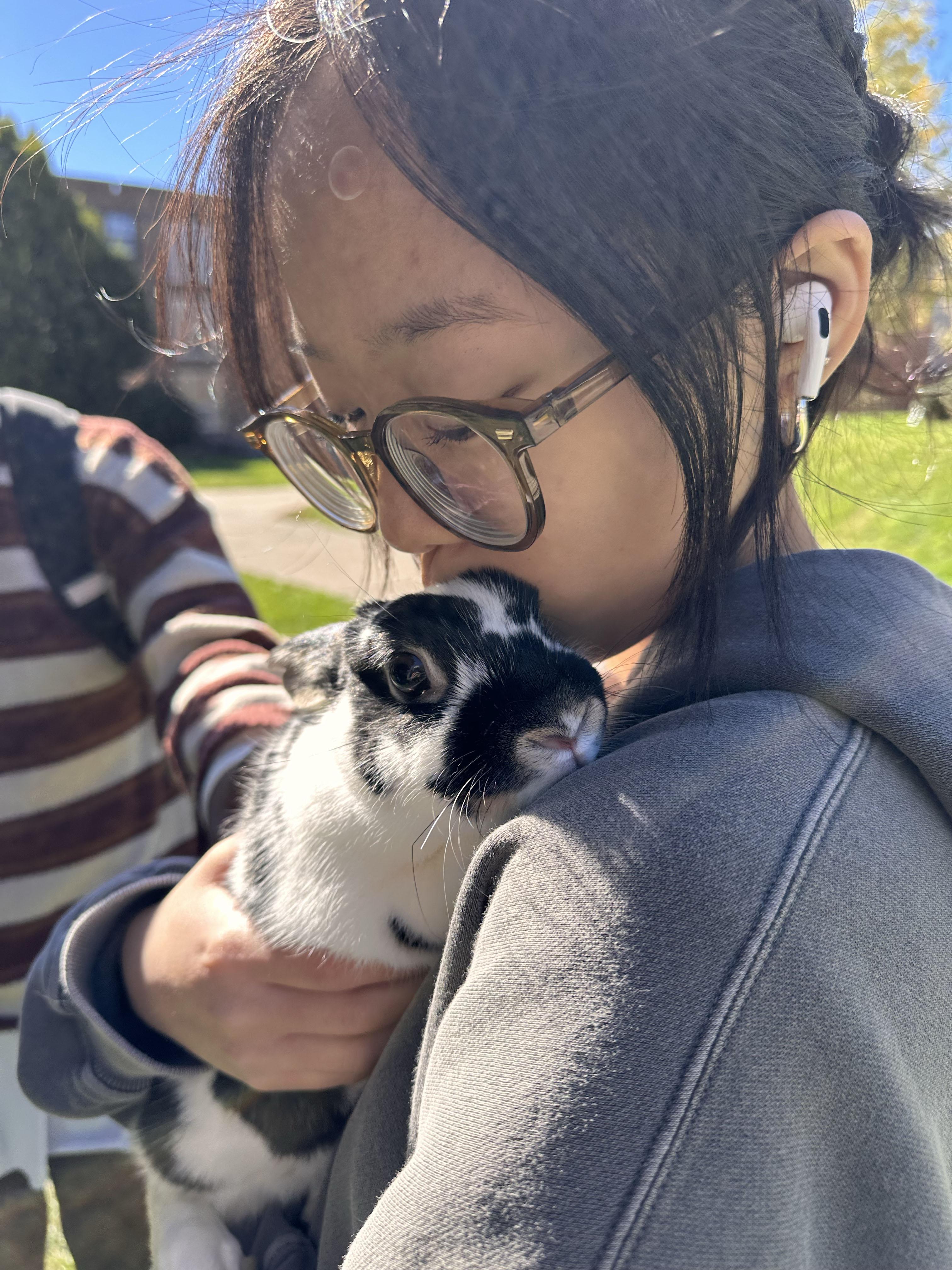 Enlarge Sugar and Plum, a Adoptable mixed breed in South Bend, IN image 3/6