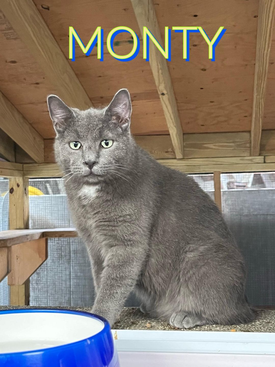 Monty photo 2