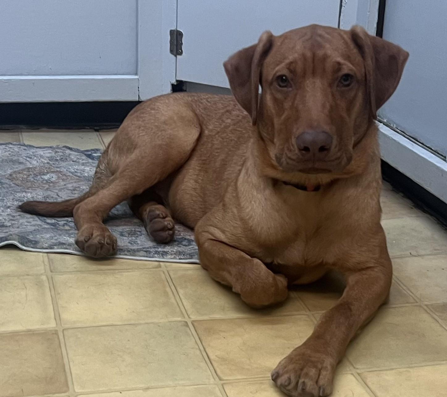 Lenny - CTS2025, Young Male unknown