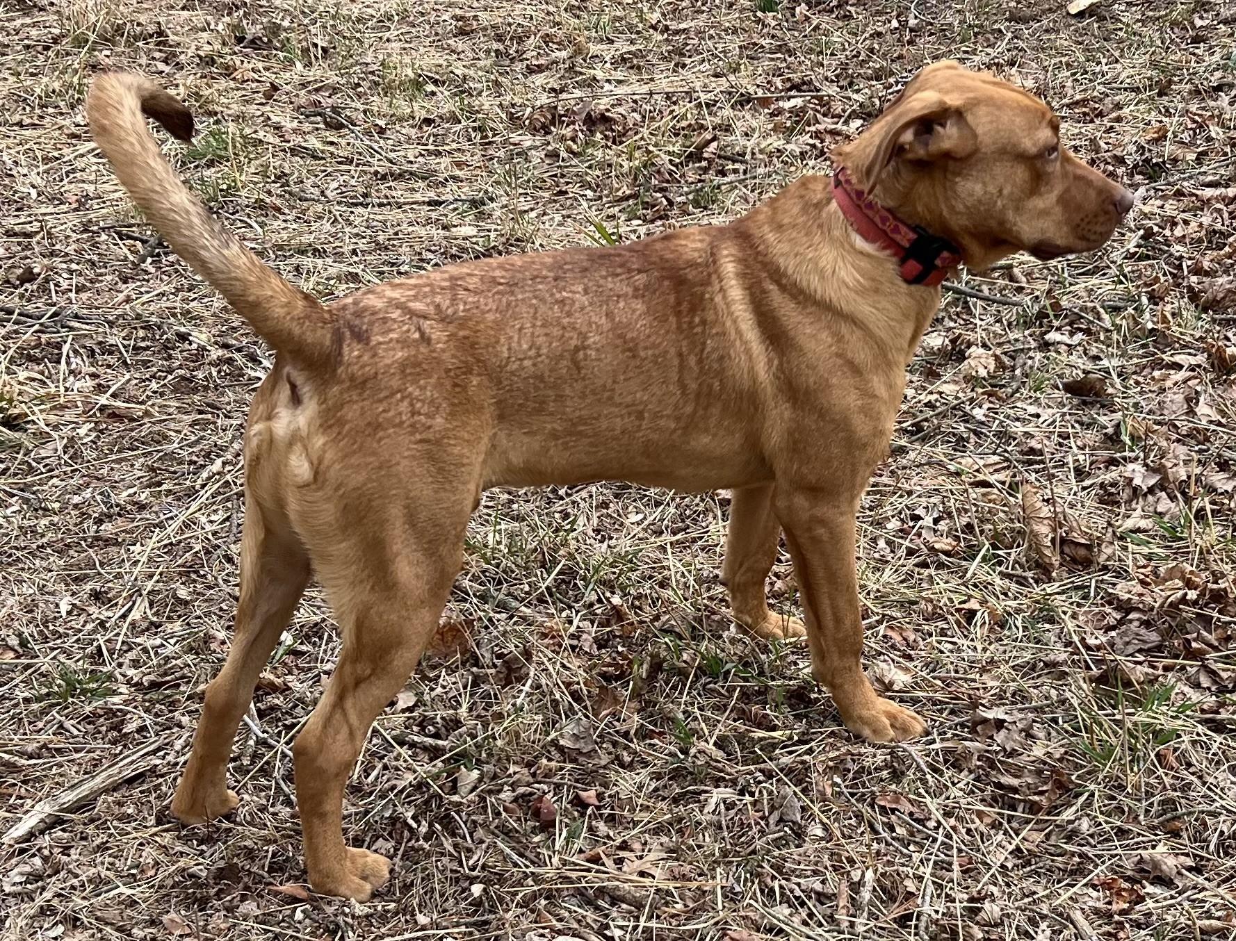 Lenny - CTS2025 photo 4