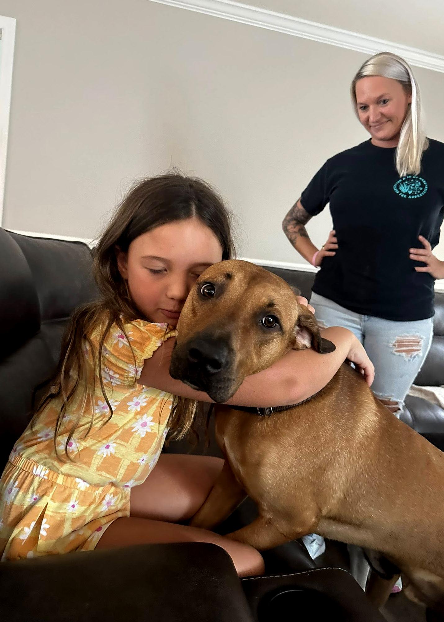 Bennie, a Adoptable mixed breed in Elloree, SC image 4/4