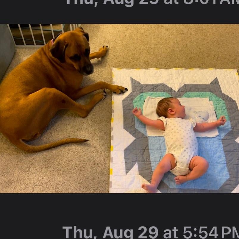 Ellie thumbnail 2