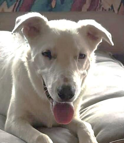 Benny