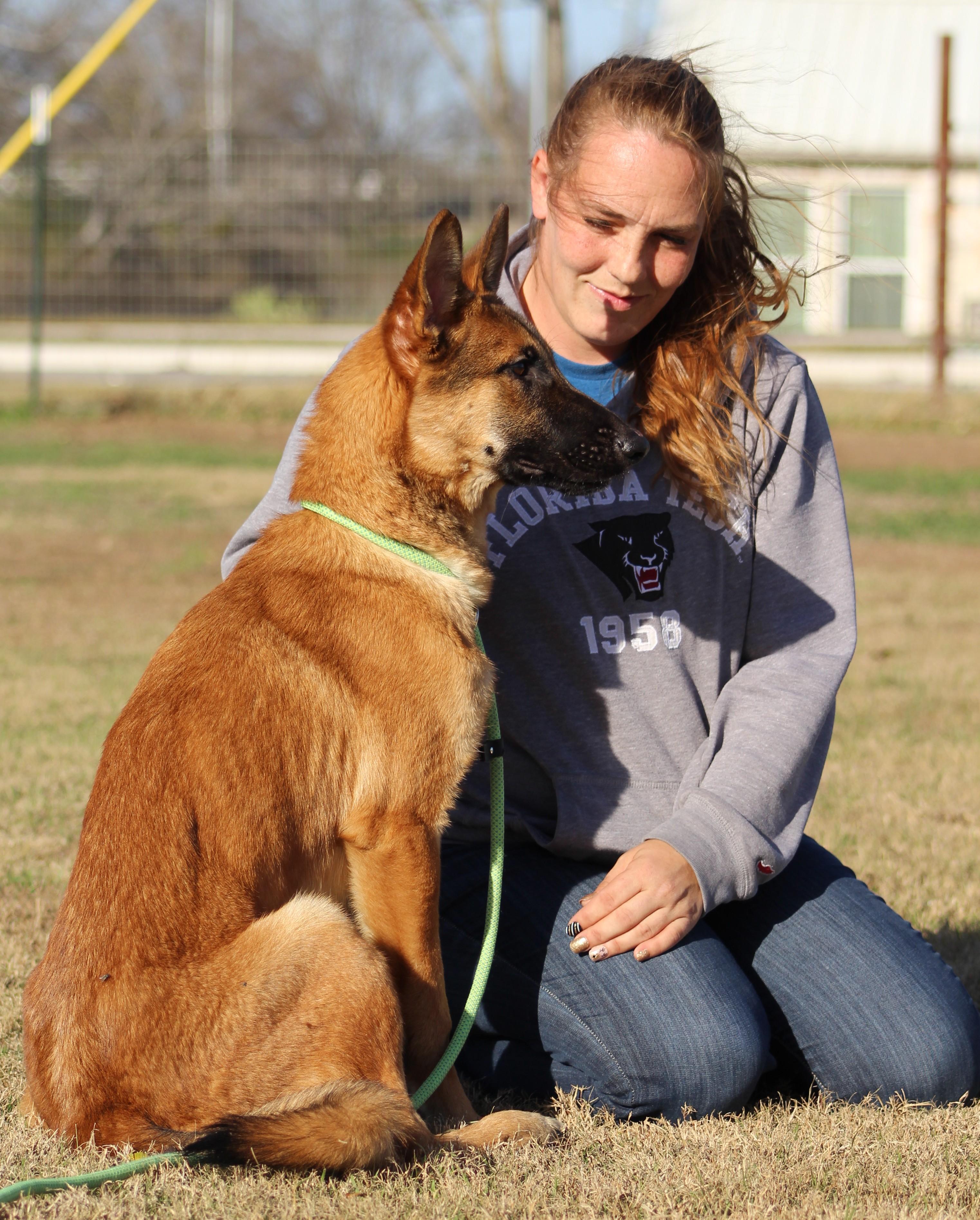 Enlarge Atlas, a ADOPTABLE mixed breed in Temple, TX image 2/5