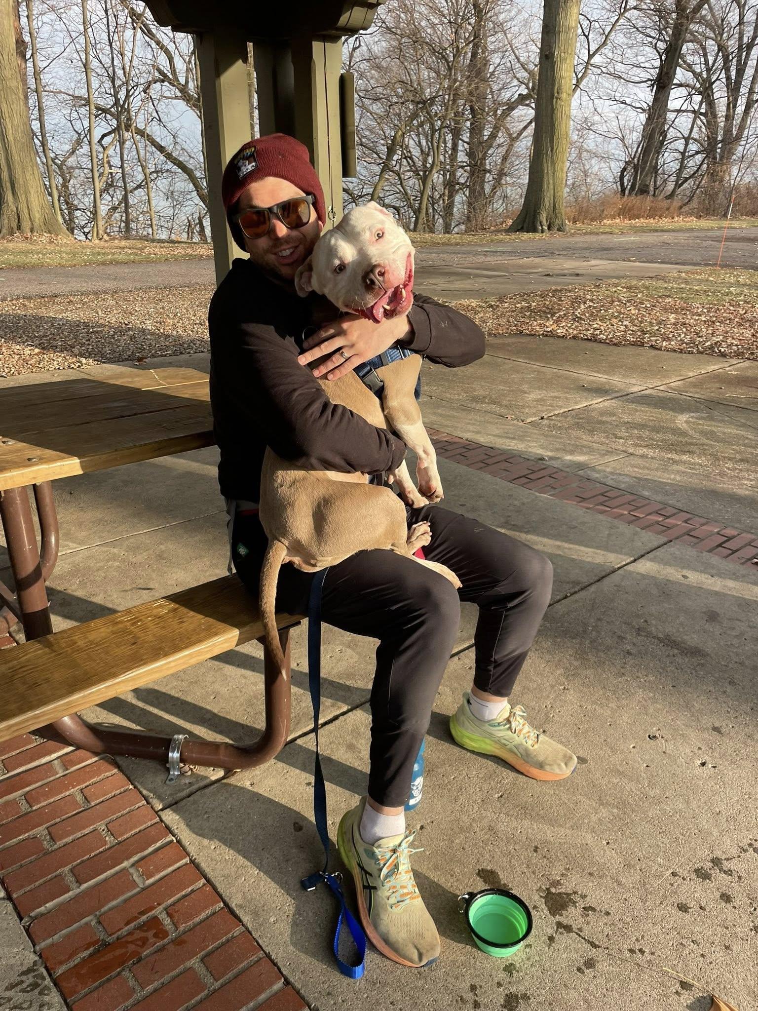 Enlarge Brickley, a Adoptable mixed breed in Cleveland, OH image 1/6