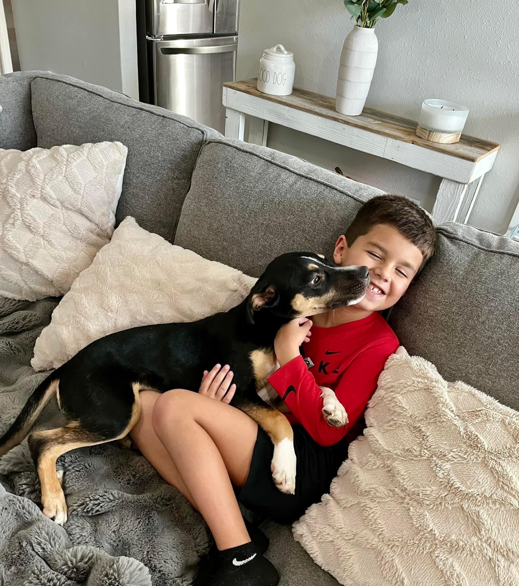 Enlarge Mary, a Adopted Shepherd in Mount Carroll, IL image 5/6