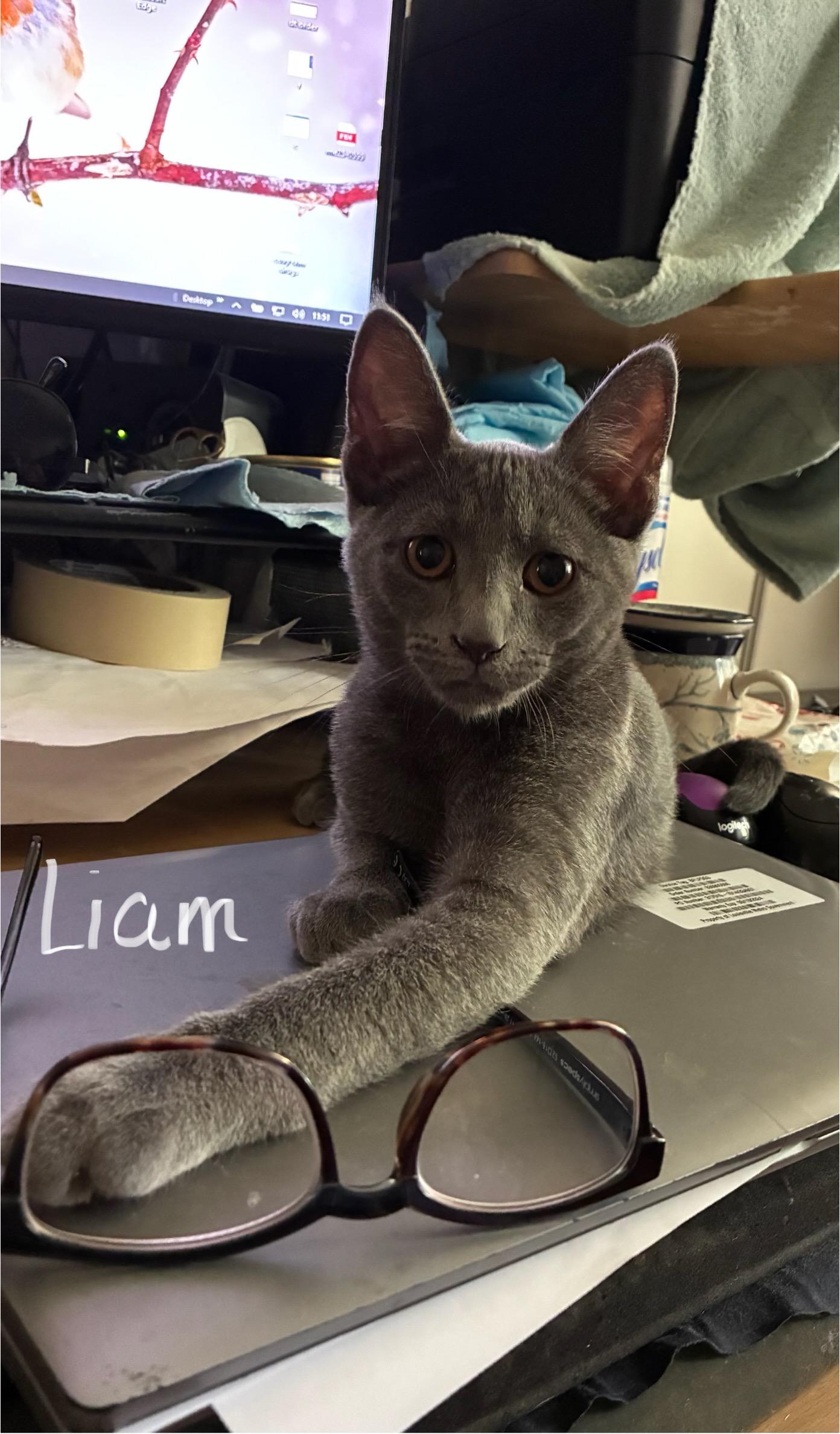 Liam