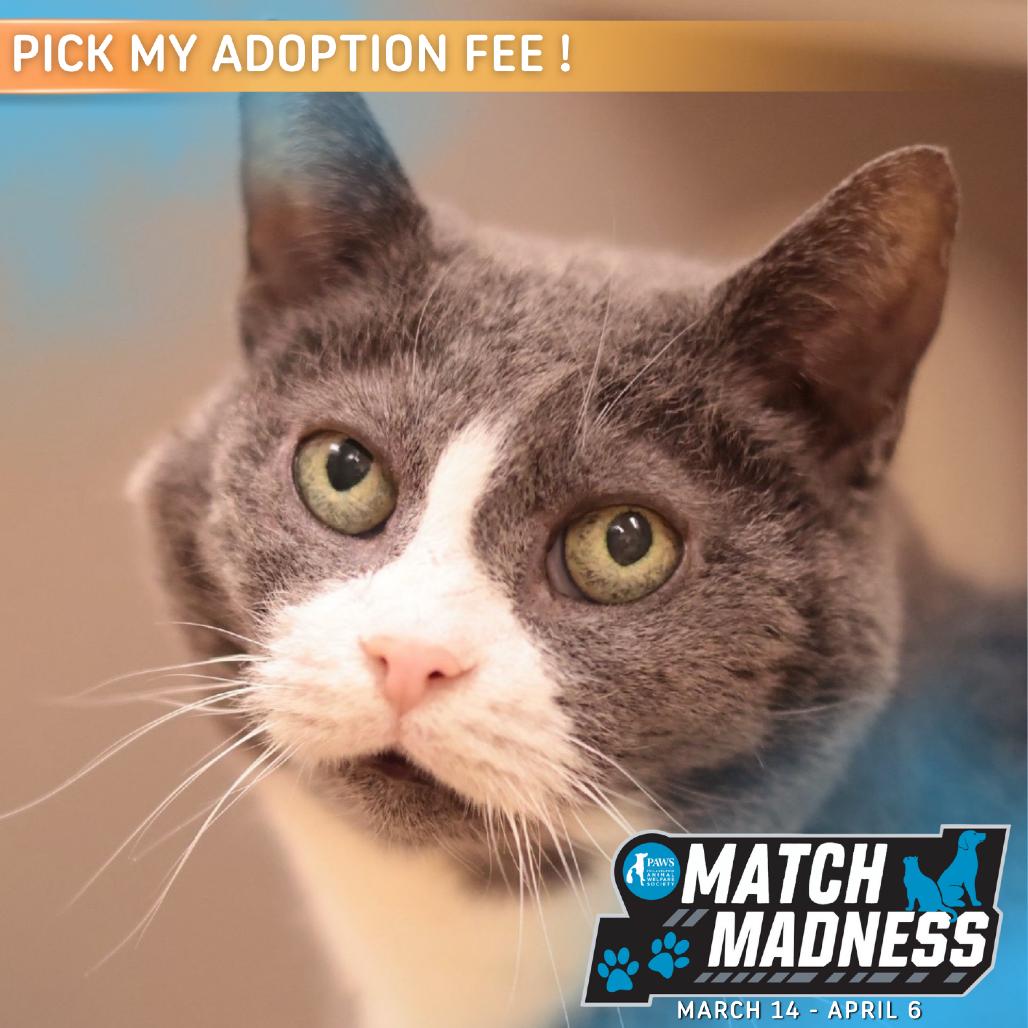 Gradient — thumbnail 3